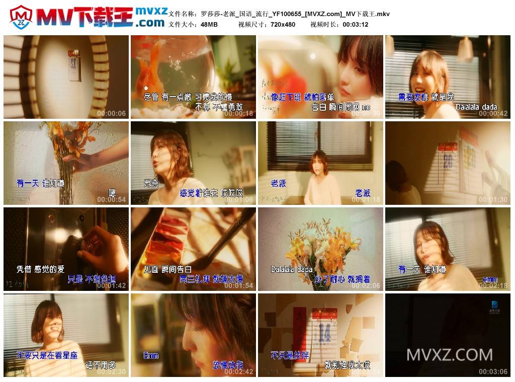 罗莎莎-老派_国语_流行_YF100655